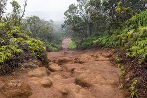 Pihea trail on Kauai Island Hawaii