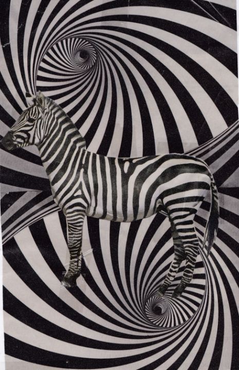 Psychedelic Zebra - Sushi_Box - Paintings & Prints, Animals, Birds 