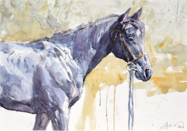 Black standing horse in light - Goran Žigolić Watercolors