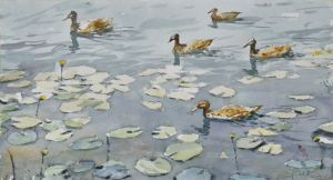 Ducks - Goran Žigolić Watercolors