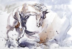 Prancing horse - Goran ŽIgolić Watercolors