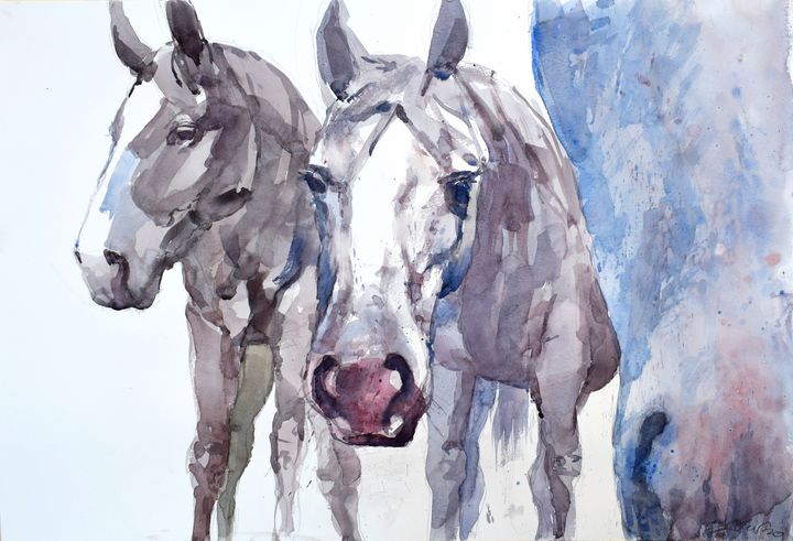 THree horses - Goran Žigolić Watercolors
