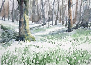 Woods full of snowdrops - Goran Žigolić Watercolors