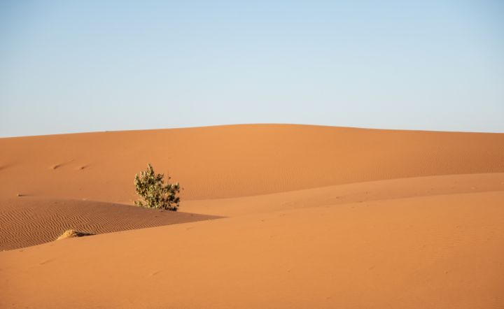 Desert Erg Chigaga I,  Morocco - JAFR