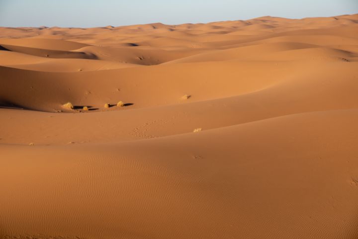 Desert Erg Chigaga II,  Morocco - JAFR
