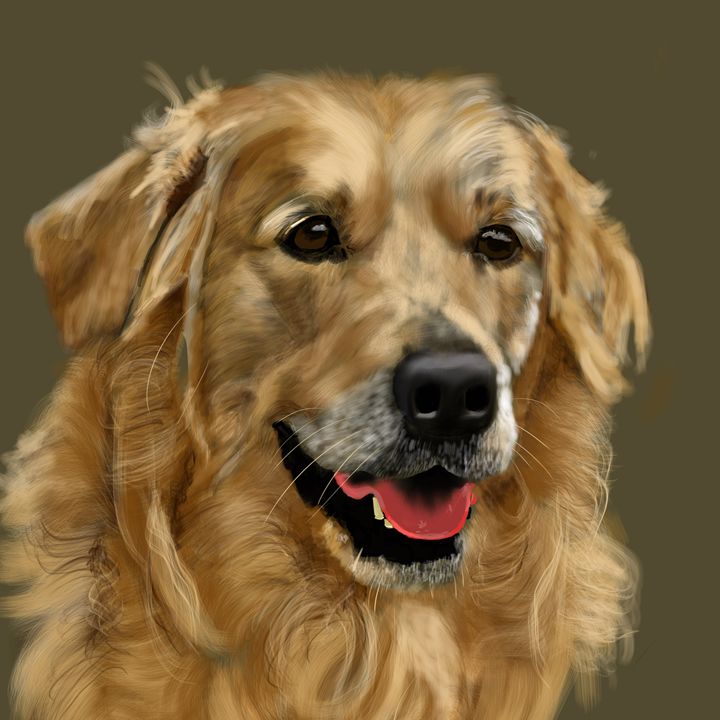 Golden Retriever - Dogone Art - Paintings & Prints, Animals, Birds ...