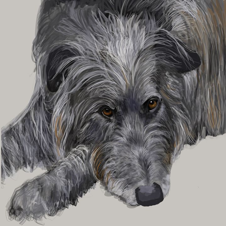 Scottish Deerhound - Dogone Art