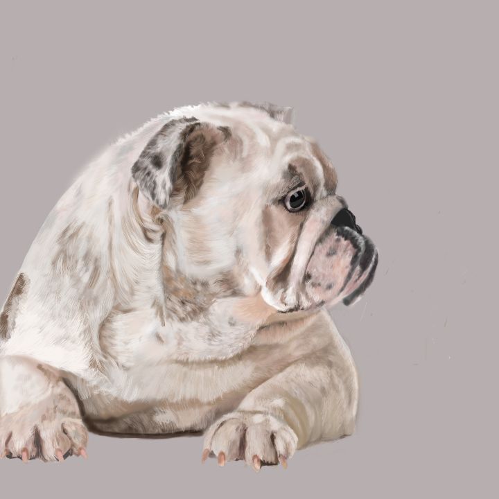 Bulldog - Dogone Art