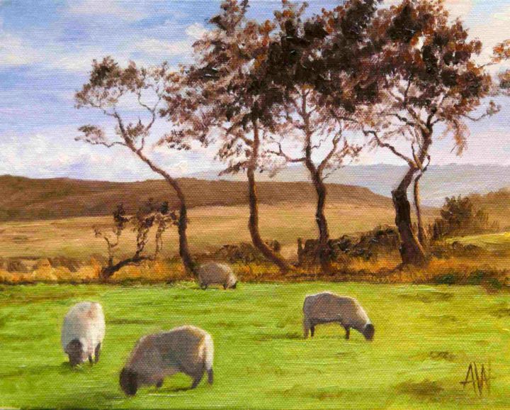 Sheep Grazing on North York Moors - Antony Wootten