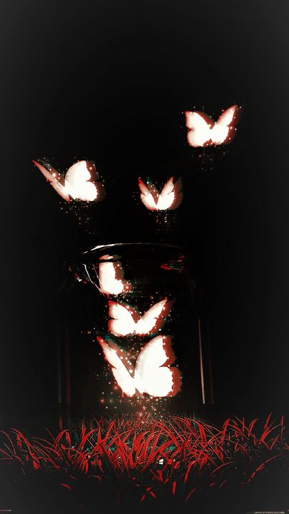 butterfly - cash