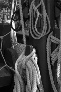 In Knots black and white