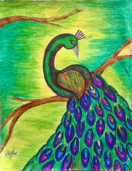 Hand drawn peacock, computer color art | Mandala design art, Peacock art, Peacock  drawing