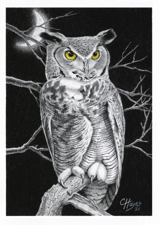 Great Horned Owl - Colin Hayes Art
