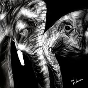 Elephants Digital Painting
