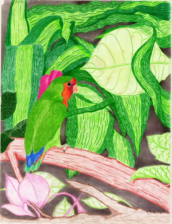 Camouflage Polly - KFMConcepts Art Gallery - Drawings & Illustration,  Animals, Birds, & Fish, Birds, Parrots, Amazon Parrot - ArtPal
