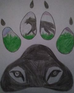 Wolf's Mark