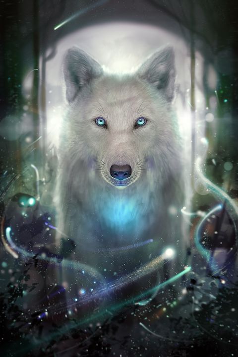 Wolf Andrie () Wolf Andrie