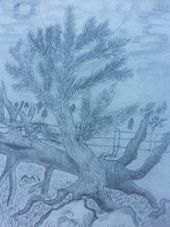 Crazy tree sketches