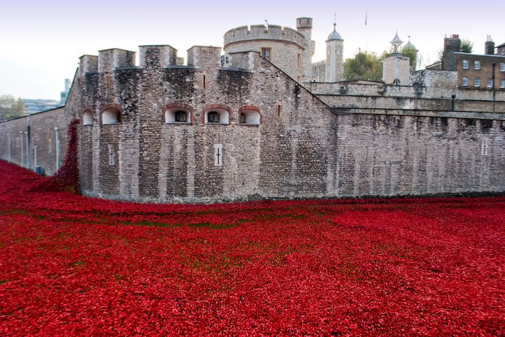 Tower of London Red Poppies - Andy Evans Photos
