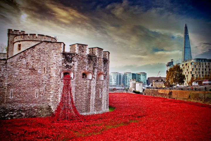 Tower Of London Poppies Red Poppy - Andy Evans Photos - Photography ...