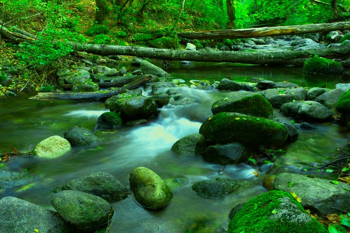 Mossy Brook - Nathan Olsen photography