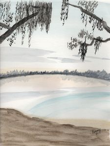 Florida Lagoon View
