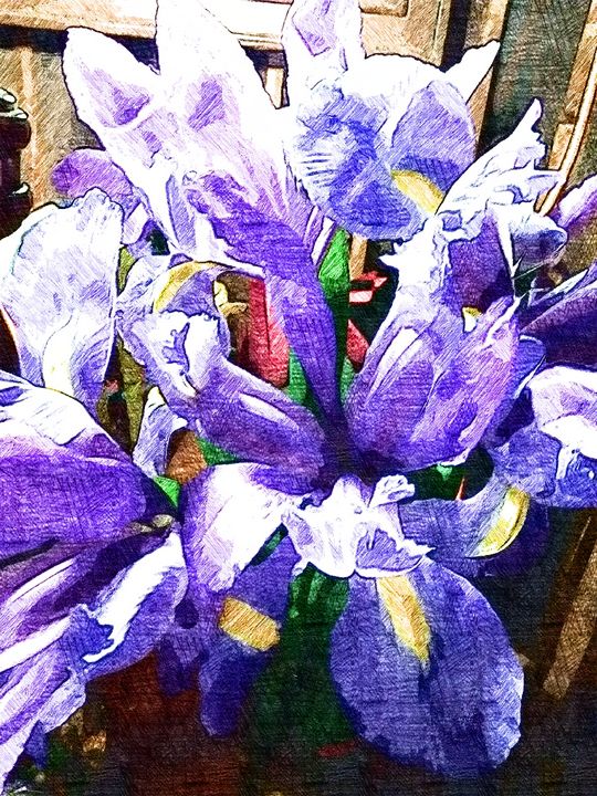 Blue Wood Irises - ( reprise ) - Lisa R. Veneziano / Digital