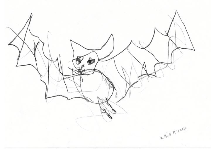 bat - intuitive art - Drawings & Illustration, Animals, Birds, & Fish,  Other Animals, Birds, & Fish - ArtPal