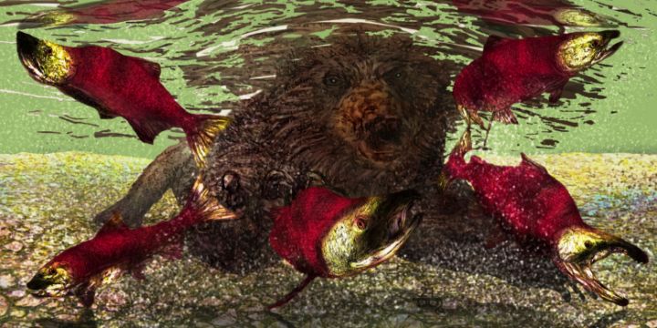Brown Bear Hunting Sockeye Salmon - Gerard Dourado’s Watercolours and Sketches