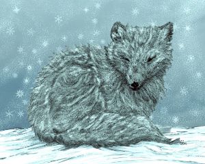The Arctic Fox - Gerard Dourado’s Watercolours and Sketches