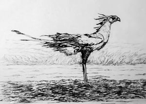 Architectural drawing/Birds wall art - yahviinnovations - Digital Art,  Animals, Birds, & Fish, Birds, Bird of Paradise - ArtPal