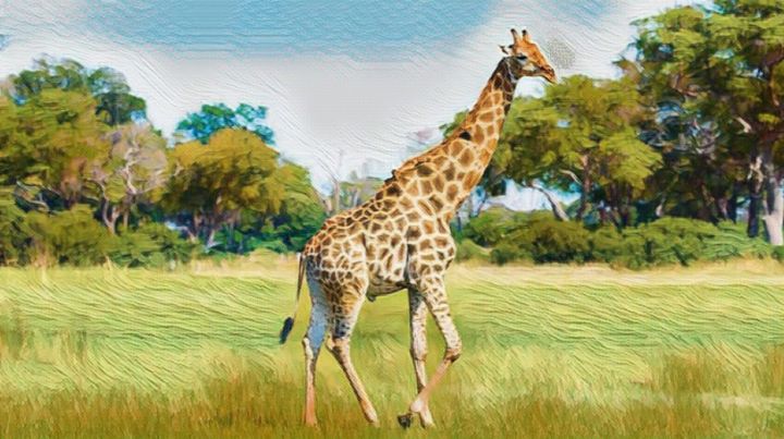 giraffe with green grass. - kopra art work