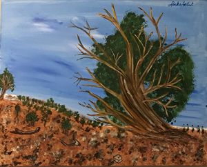 The Great Bristlecone Pine