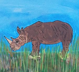 The Endangered Rhino