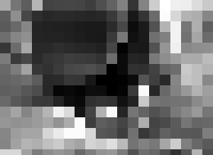 Nude Noir - Roman Silentium - Photography, People & Figures, Portraits