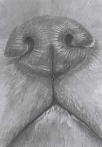 Designer Art - Drawings & Illustration