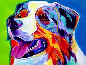 Aussie - DawgArt