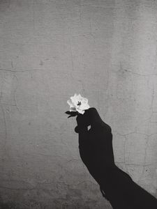 Flower In Hand