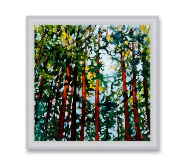 Lightshow” 8x8 Framed Print - MARNA SCHINDLER - Paintings & Prints,  Flowers, Plants, & Trees, Trees & Shrubs, Redwood - ArtPal