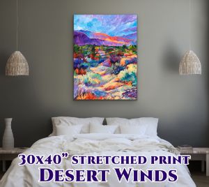 30x40” Stretched Print DESERT WINDS