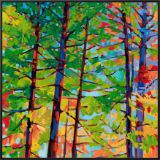 Lightshow” 8x8 Framed Print - MARNA SCHINDLER - Paintings & Prints,  Flowers, Plants, & Trees, Trees & Shrubs, Redwood - ArtPal