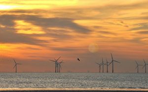 the windfarm