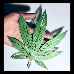 Pot Leaf