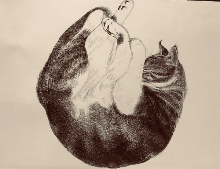 Cat Drawing, Pencil Drawing of Cat, Gift for Cat Lover, Cat Sketch Sleeping,  Cat Print, Kids Room Decor, Animal Art, 8 X 10 - Etsy