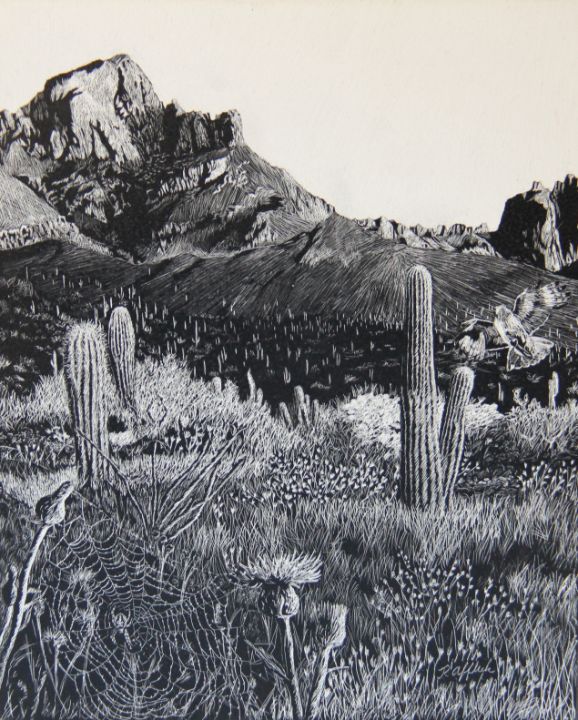 Arizona Landscape - Richard Affleck - Paintings & Prints, Landscapes ...