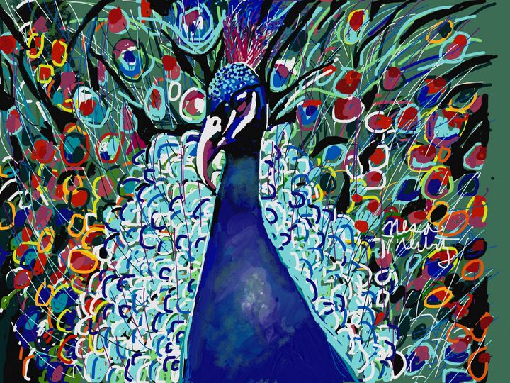 Beautiful Peacock - Nesa's Art