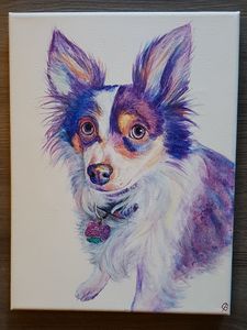 Rainbow Dog Portrait