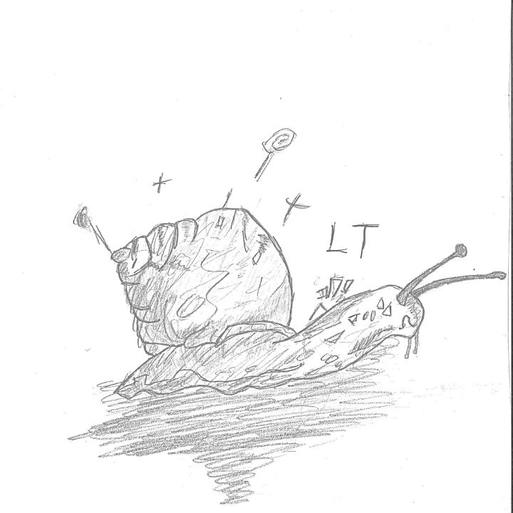 lts-sketches-drawings-illustration-photography