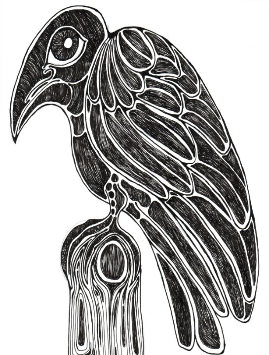 drawing of a crow – My Drawing Course