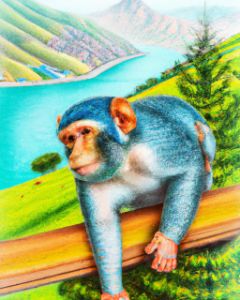 Monkeys and a fish #monkey #ape #primate #fish #gallery #sketchbook  #art_spotlight #draw #drawing #digitalart #doodle #illustration #…